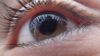 co to jest gradówka oka?